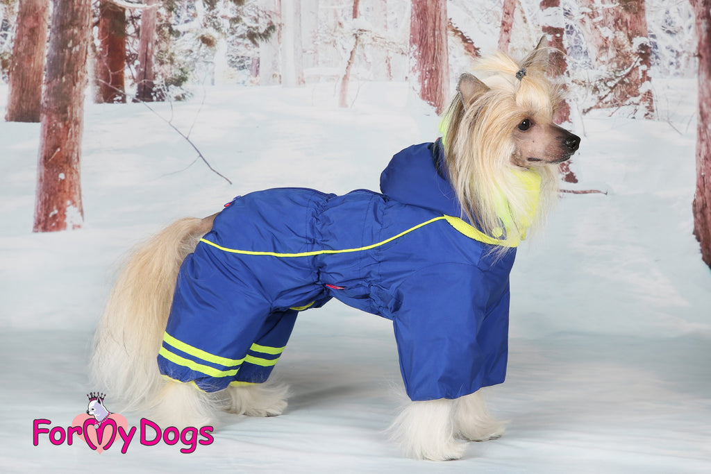 Bold Blue Winter Suit For Boys SPECIAL ORDER