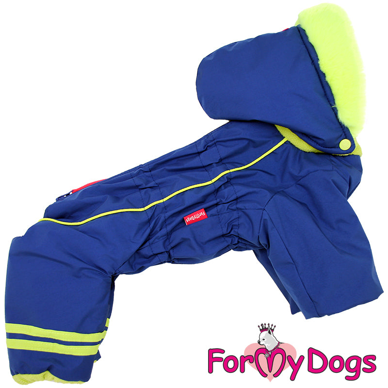 Bold Blue Winter Suit For Boys SPECIAL ORDER