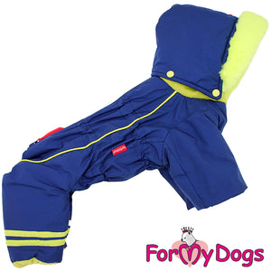 Bold Blue Winter Suit For Boys SPECIAL ORDER