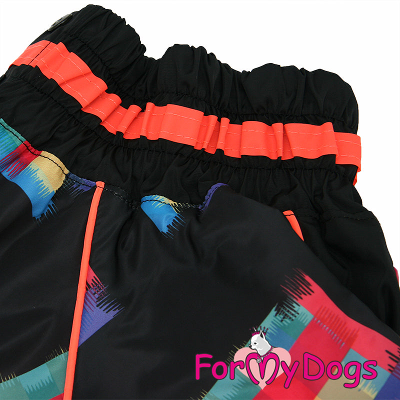 Colour Block Winter Suit For Girls For Medium & Large Breeds, Pugs & Westies SPECIAL ORDER