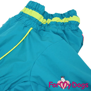 Terrific Turquoise Winter Suit For Girls For Medium, Large Breeds & Pugs SPECIAL ORDER (Copy)