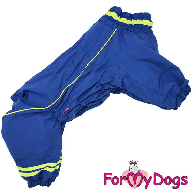 Bold Blue Winter Suit For Boys For Medium, Large Breeds & Pugs SPECIAL ORDER