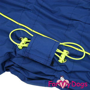 Bold Blue Winter Suit For Boys For Medium, Large Breeds & Pugs SPECIAL ORDER