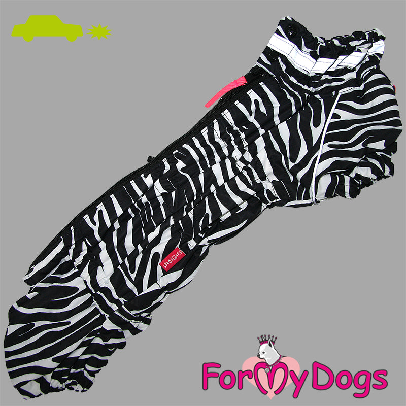 Dachshund Zesty Zebra Winter Suit For Boys SPECIAL ORDER