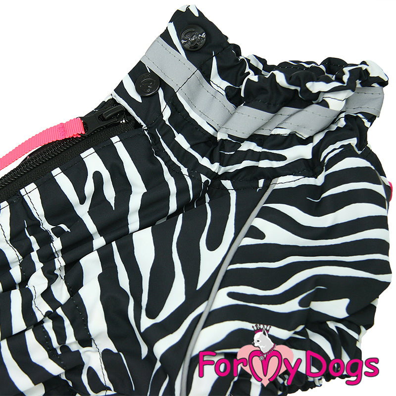 Dachshund Zesty Zebra Winter Suit For Boys SPECIAL ORDER