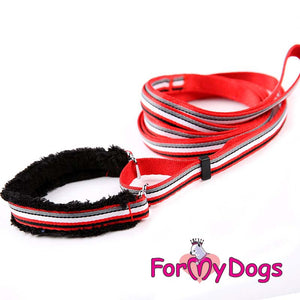 Versatile Striped Collar and Lead Set in Red Stripe