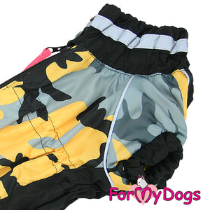 Dachshund Bold N Bright Rainsuit For Boys SPECIAL ORDER