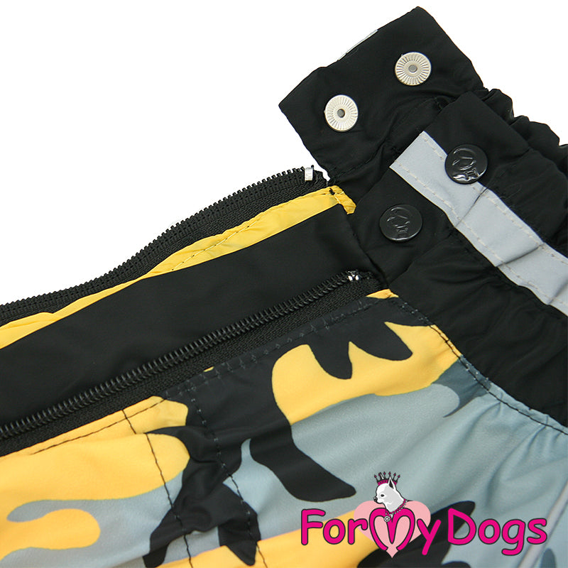 Dachshund Bold N Bright Rainsuit For Boys SPECIAL ORDER