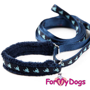 Versatile Collar and Lead Set In Blue Flashes