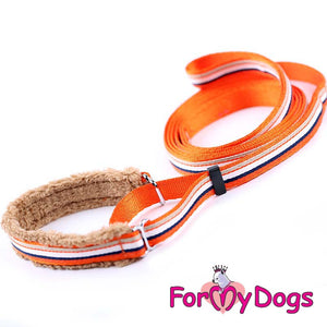 Versatile Striped Collar and Lead Set in Orange Stripe