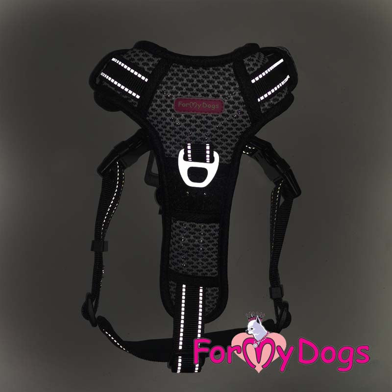 Check Me Out Harness